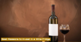 Wine Fridge vs. Fridge: What You Need to Know