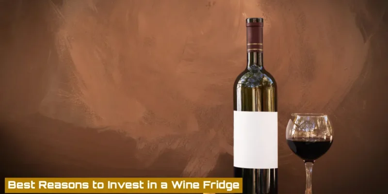 Wine Fridge vs. Fridge: What You Need to Know